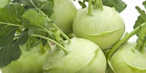 Kako kiseliti kupus kelerabe